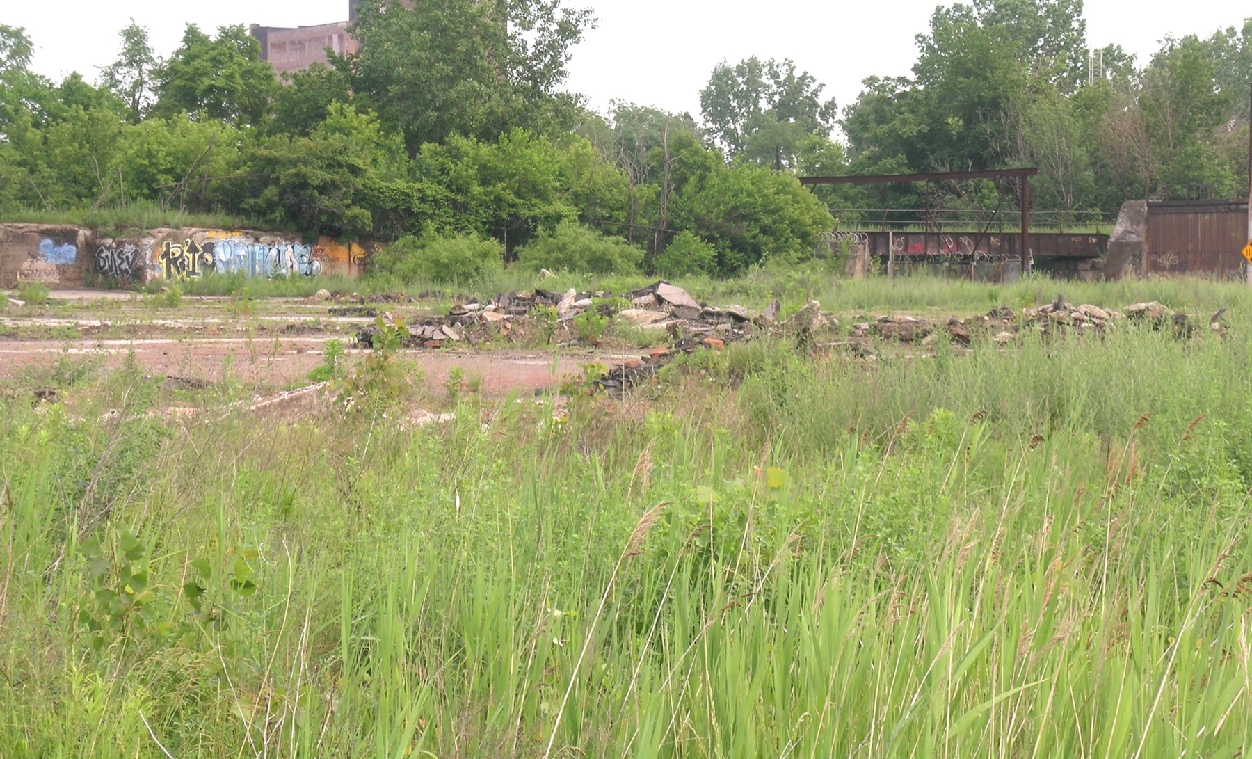 An overgrown vacant lot in Detroit with broken concrete and industrial remnants in the background.