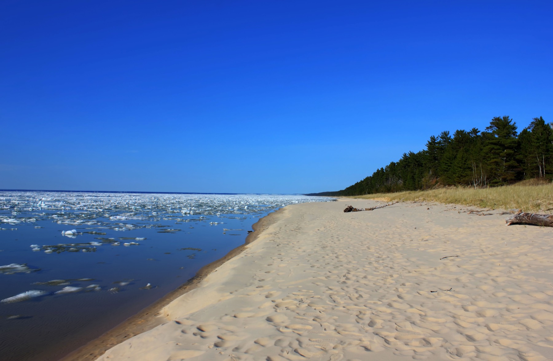 A sandy shoreline on Lake Superior in Michigan with spring ice along the water and forest beyond the beach.