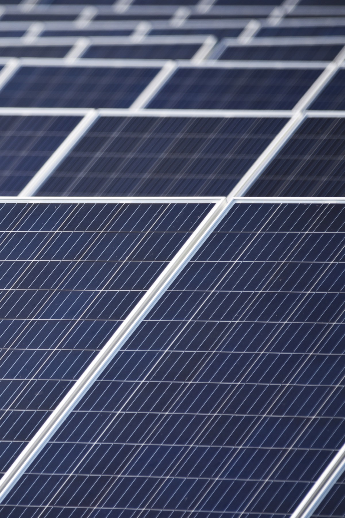 Rows of solar panels filling a former farm field in Minnesota.