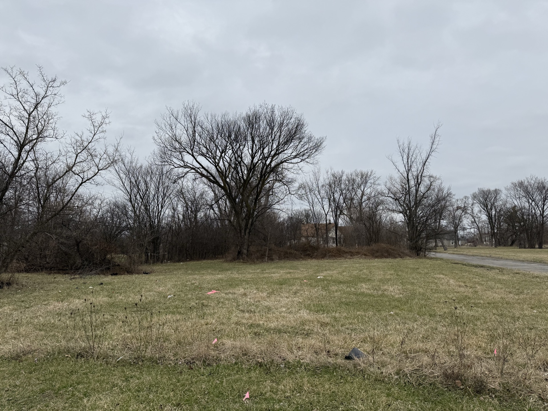 Wide view looking north across the vacant lots